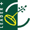 Leader +